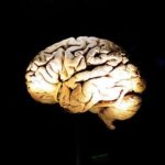Efemérides 22 de Julio: Día Mundial del Cerebro Carrera Renta Dillinger FMI Butrón Dafoe Puig Selena Eclipse