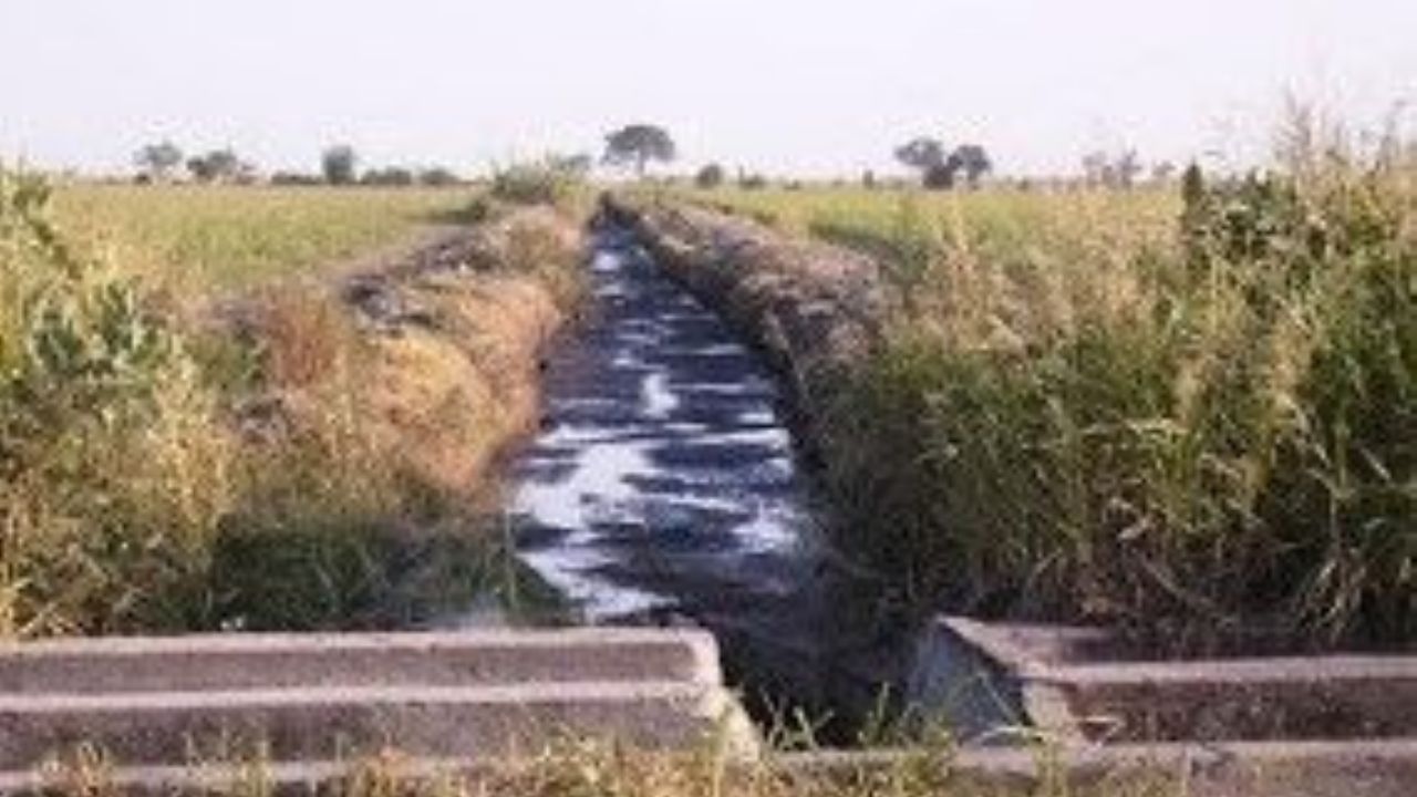 TUCUMAN CONTAMINACION. Uno de los tantos canales de desagüe de los ingenios altamente contaminado aún tras el cierre de la zafra