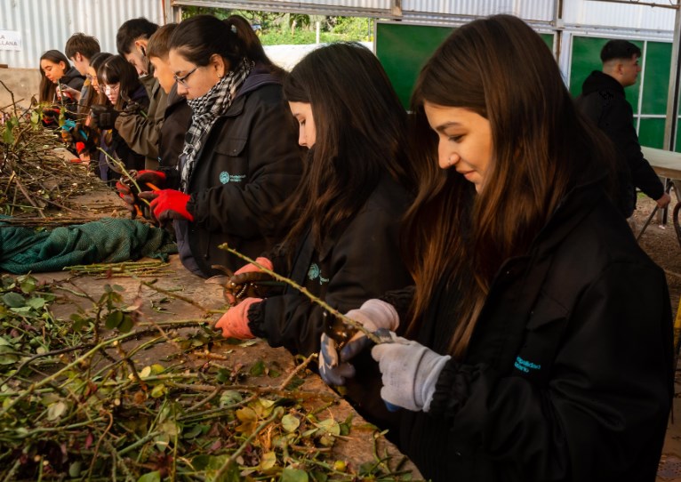ROSARIO ALUMNOS DE JARDINERIA PREPARAN ESQUEJES DE ROSAS ROSEDAL DEL PARQUE INDEPENDENCIA