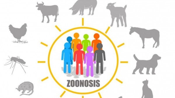 6 DE JULIO DIA MUNDIAL DE LA ZOONOSIS