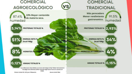 Andres Fleker Acelga Infografia