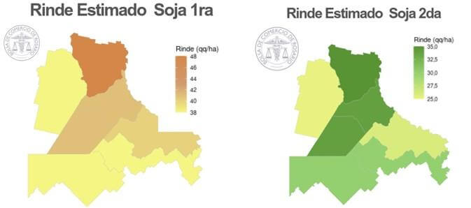 rinde soja