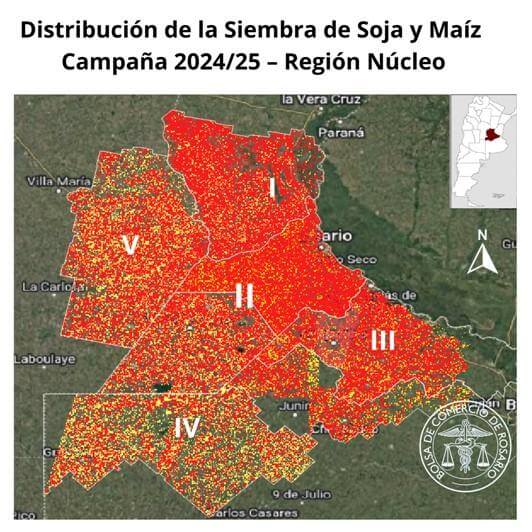siembra zona nucleo