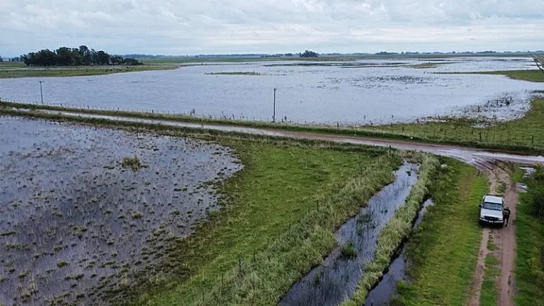 Argentina enfrentará «El Niño» más potente en décadas y ya se prepara para el impacto